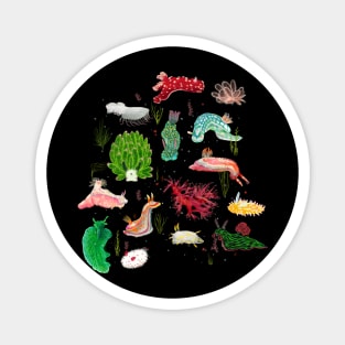 Nudibranch Magnet